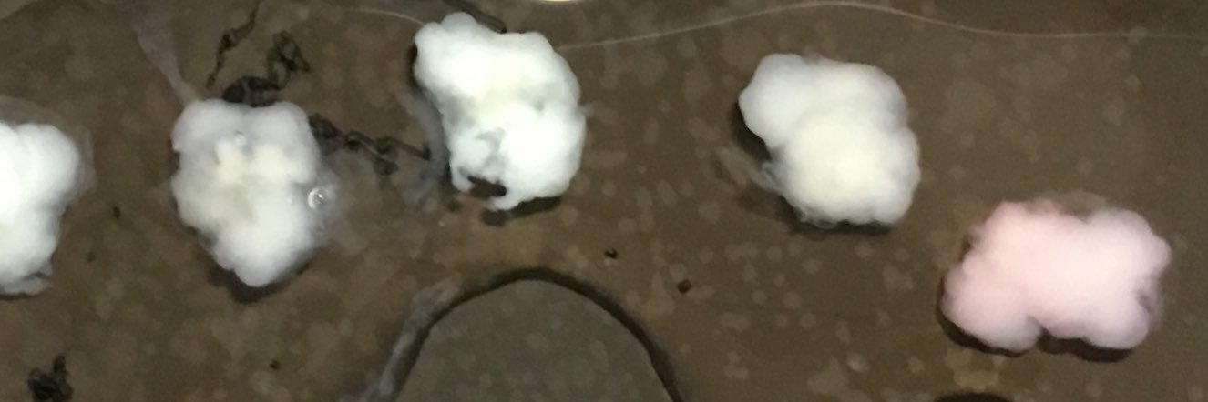 Christopher Esk banner