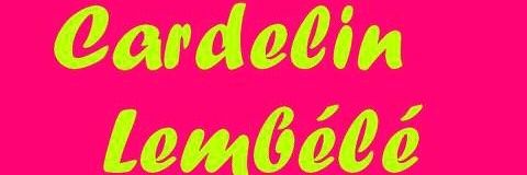 CardelinL's profile banner image