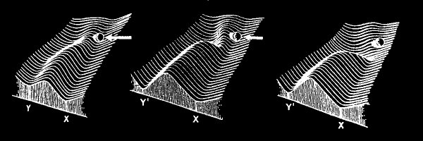 h_gerba Profile Banner
