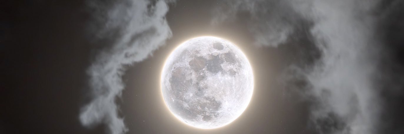user59917592's profile banner image