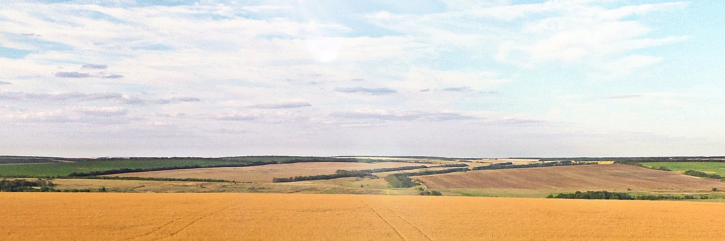 linkerlinkerlin's profile banner image