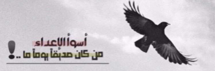 tala130130's profile banner image