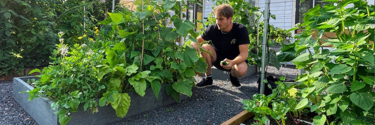 MMoestuin's profile banner image