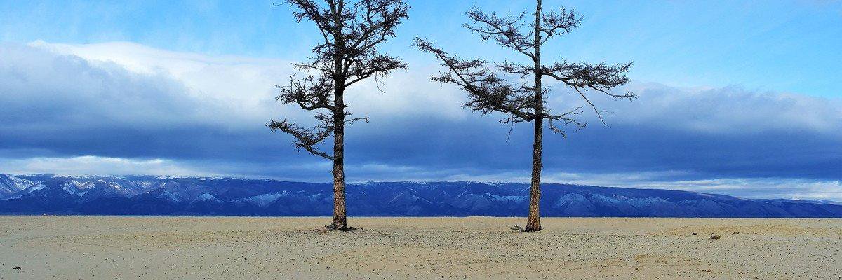NLV46's profile banner image