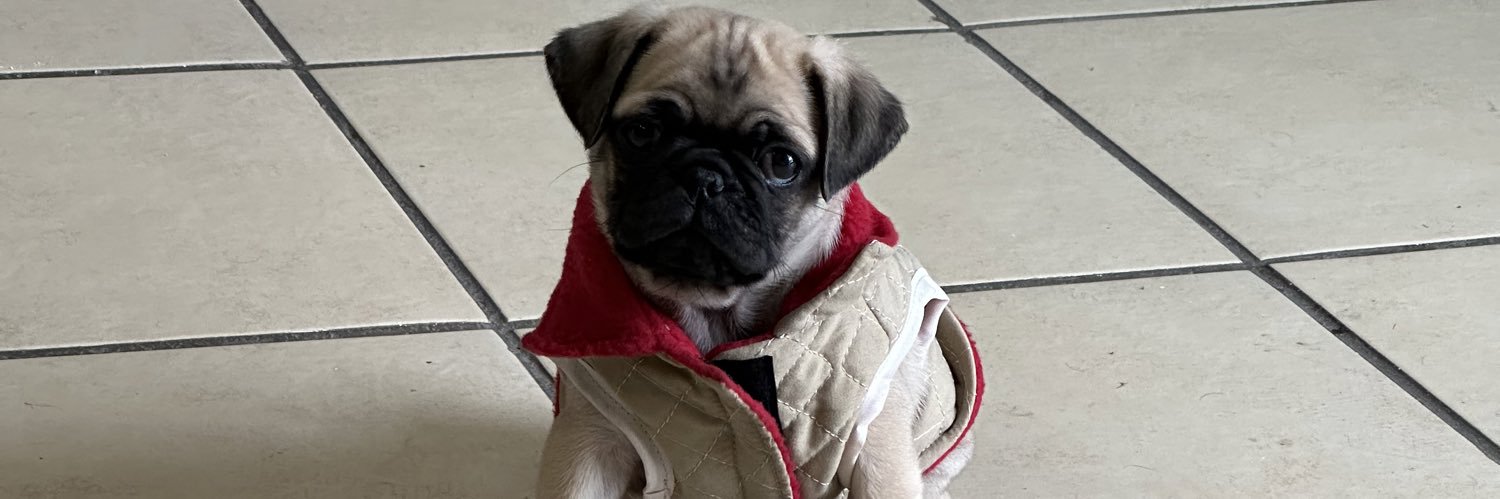 SootsFrancisco's profile banner image