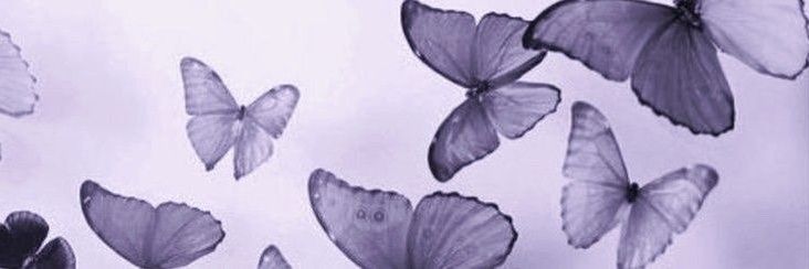 seoprincee's profile banner image