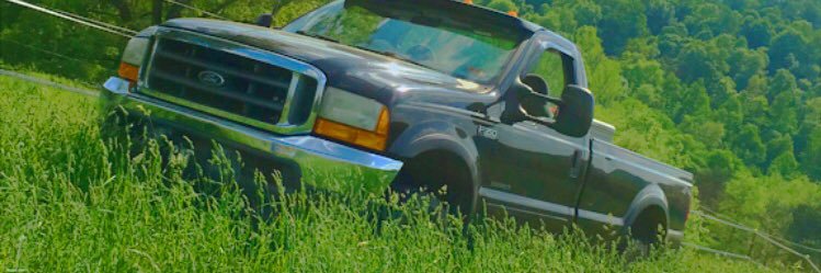 leafy_113's profile banner image
