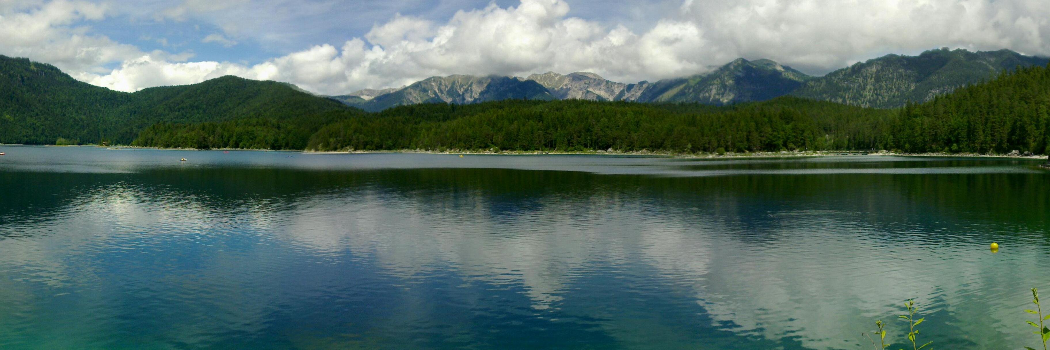 CarlotaTaya's profile banner image