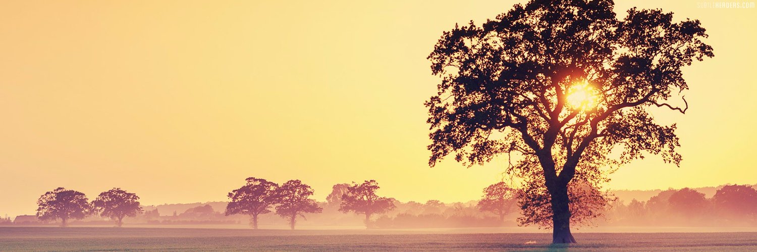 Ian_Shave's profile banner image