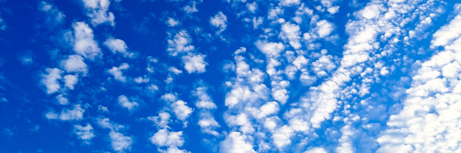 Fraser Wright banner