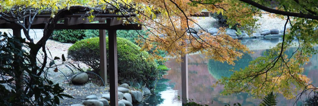 アオ banner