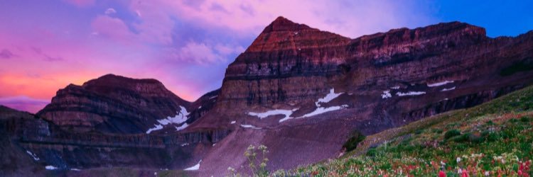 Gillian Bower banner