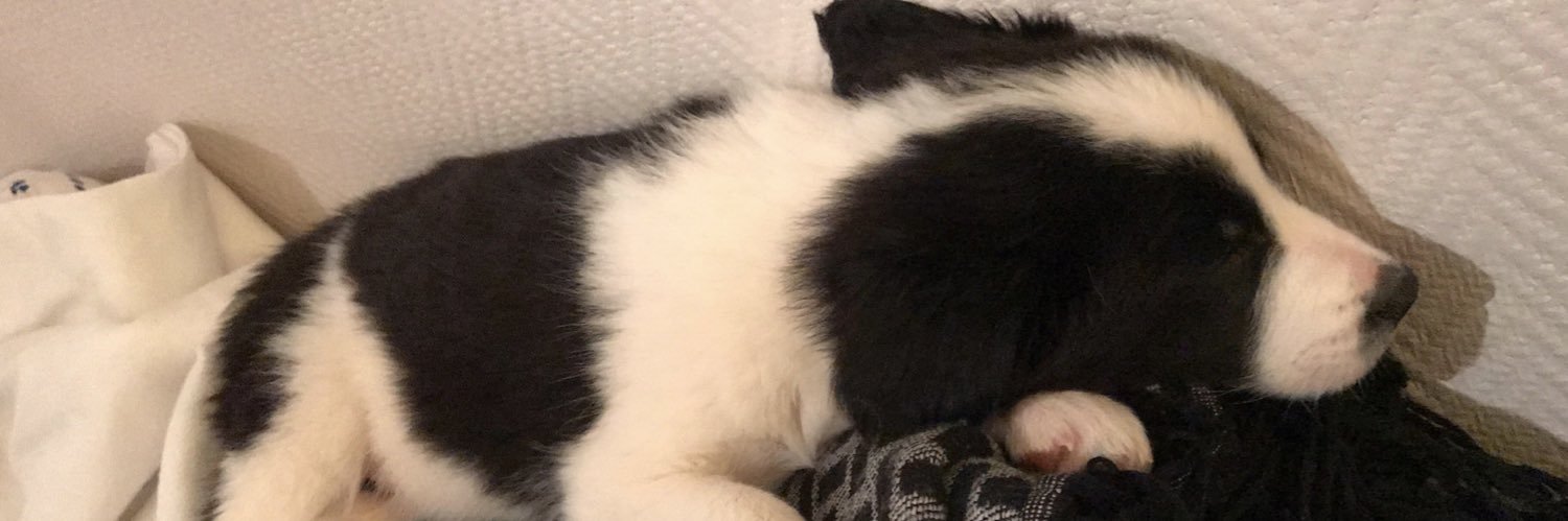 Jérémy Delhaise banner