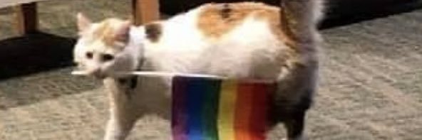 AyCanito's profile banner image