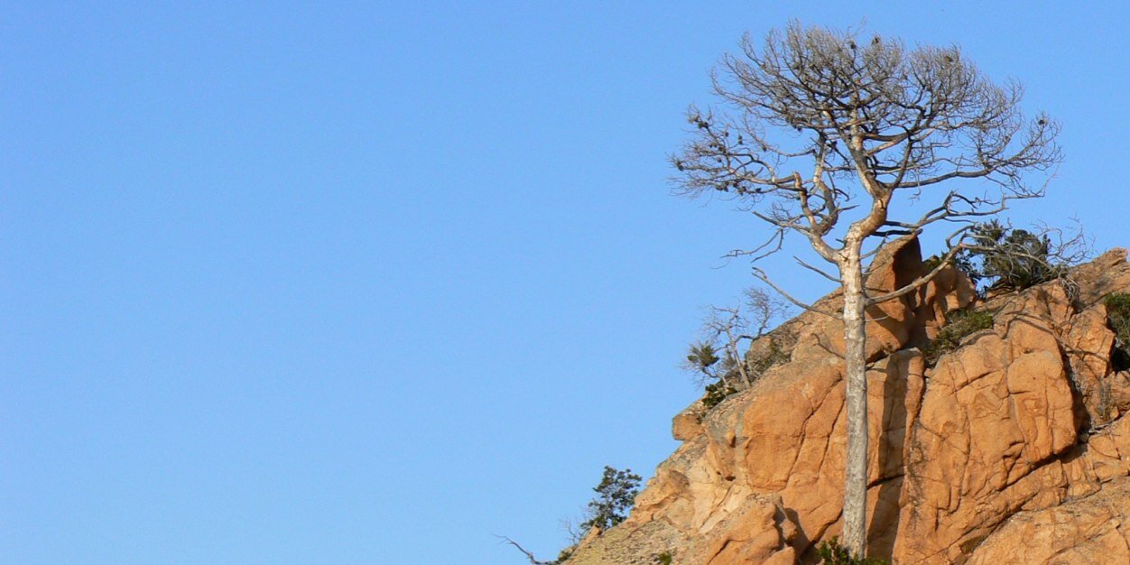 b_n_j banner