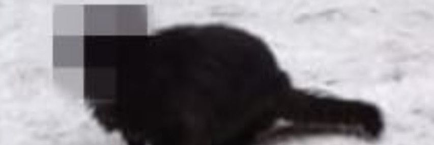 Той, що завис над безоднею banner