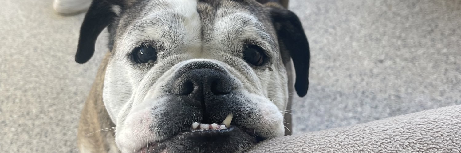 margotberry_'s profile banner image