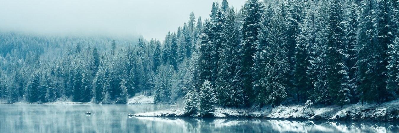 JulieKovalenko's profile banner image