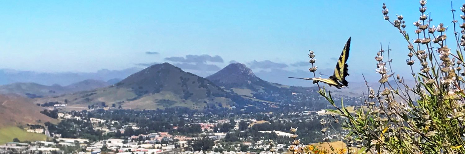 Laura Schwoerer banner