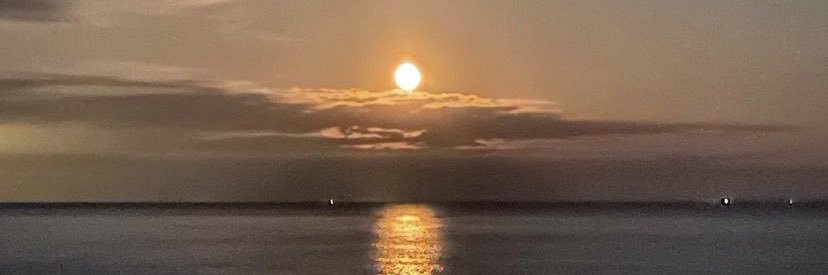 toneygriffith23's profile banner image
