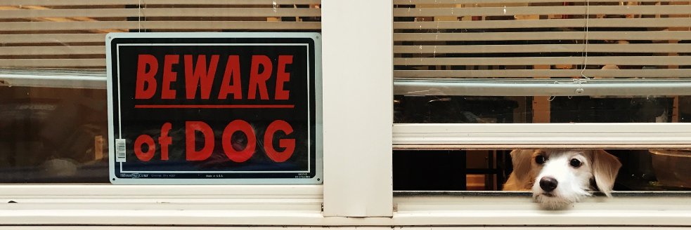 Van Yu (Silent V) banner