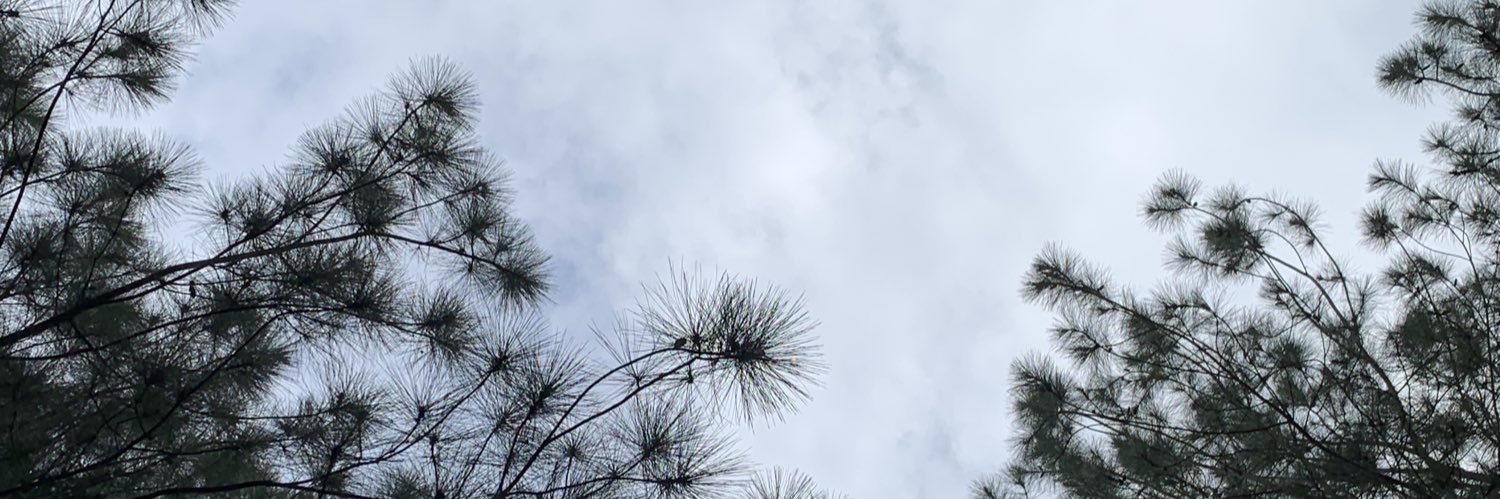 alanchrisnata's profile banner image