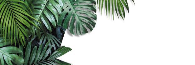 MeganMoranchel's profile banner image