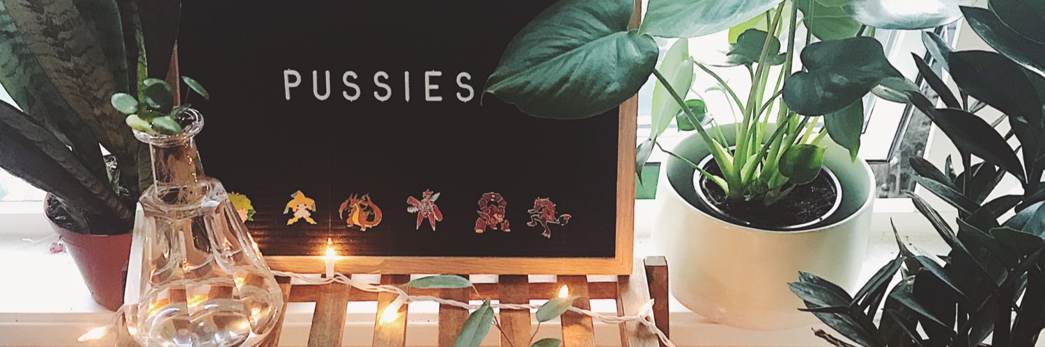 🌼 laurel 🌼 banner