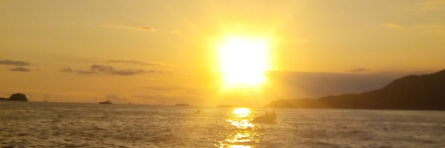MaisaLAdv's profile banner image