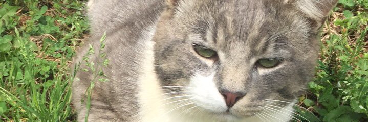 _ago_x's profile banner image