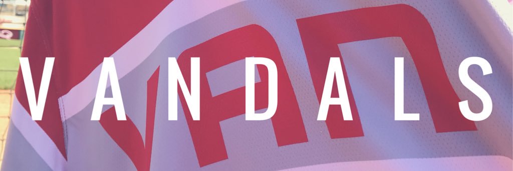 Vandal Baseball banner