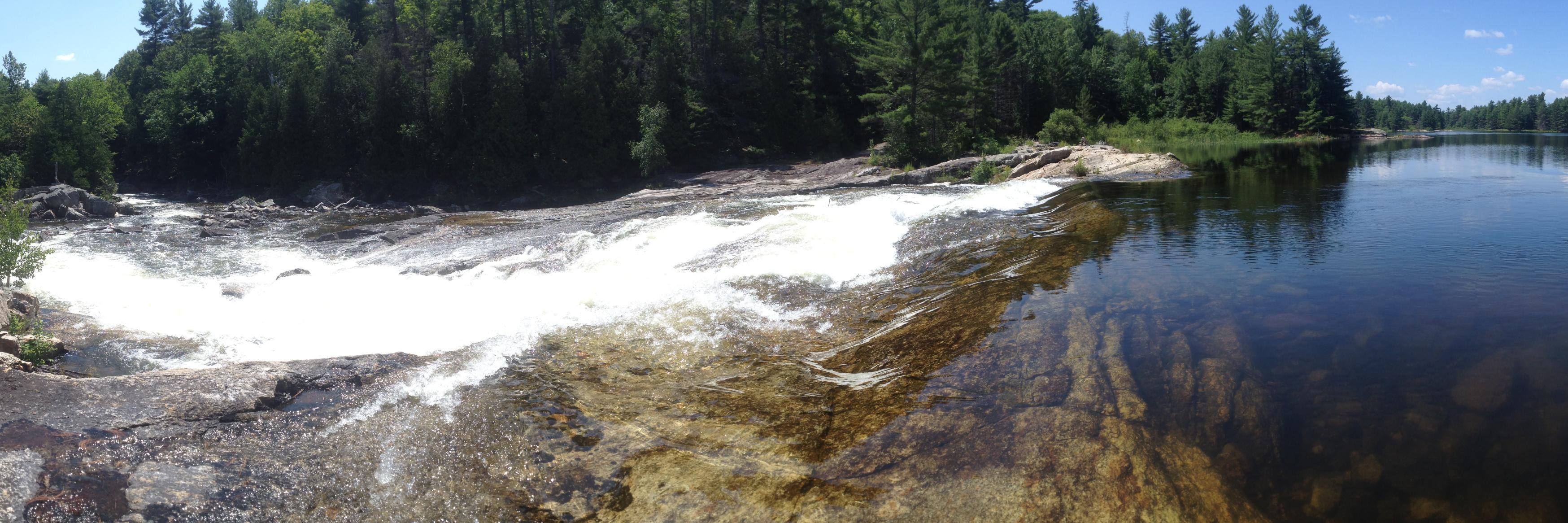 Paddle for Life banner