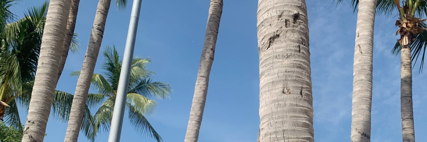 chananyanan's profile banner image