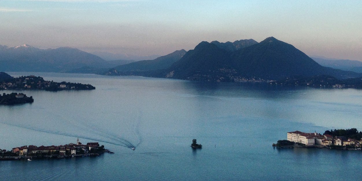 silviarefaldi's profile banner image