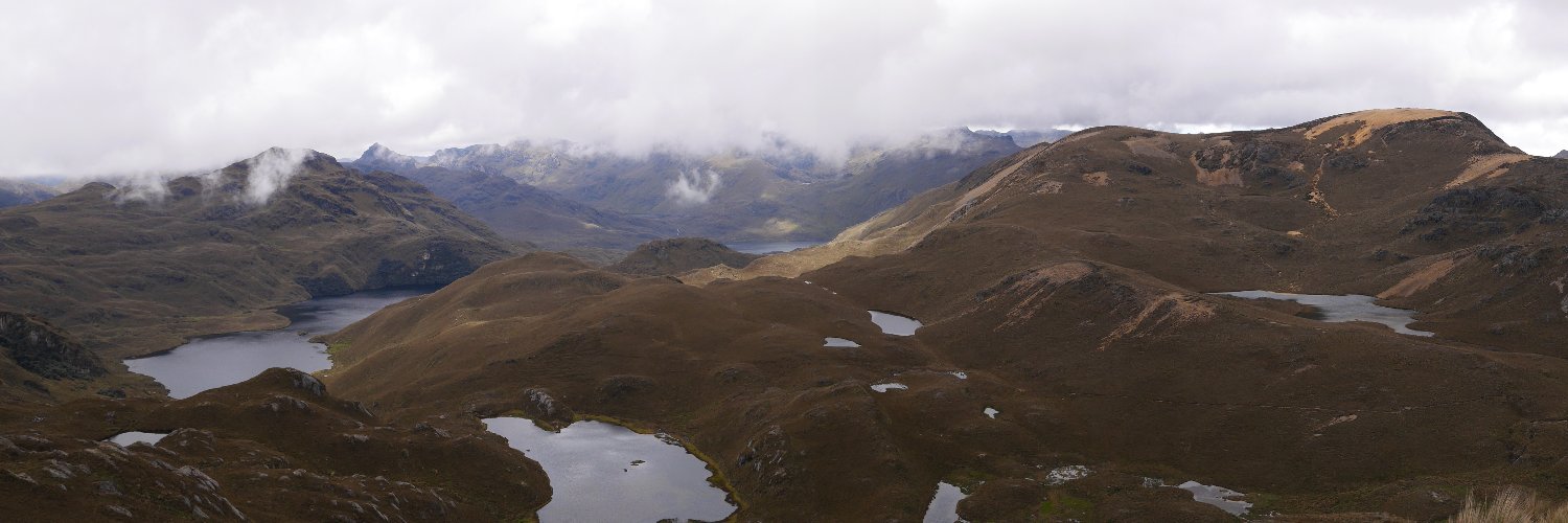 Galo Carrillo Rojas banner