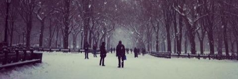SophDaisyCooper's profile banner image