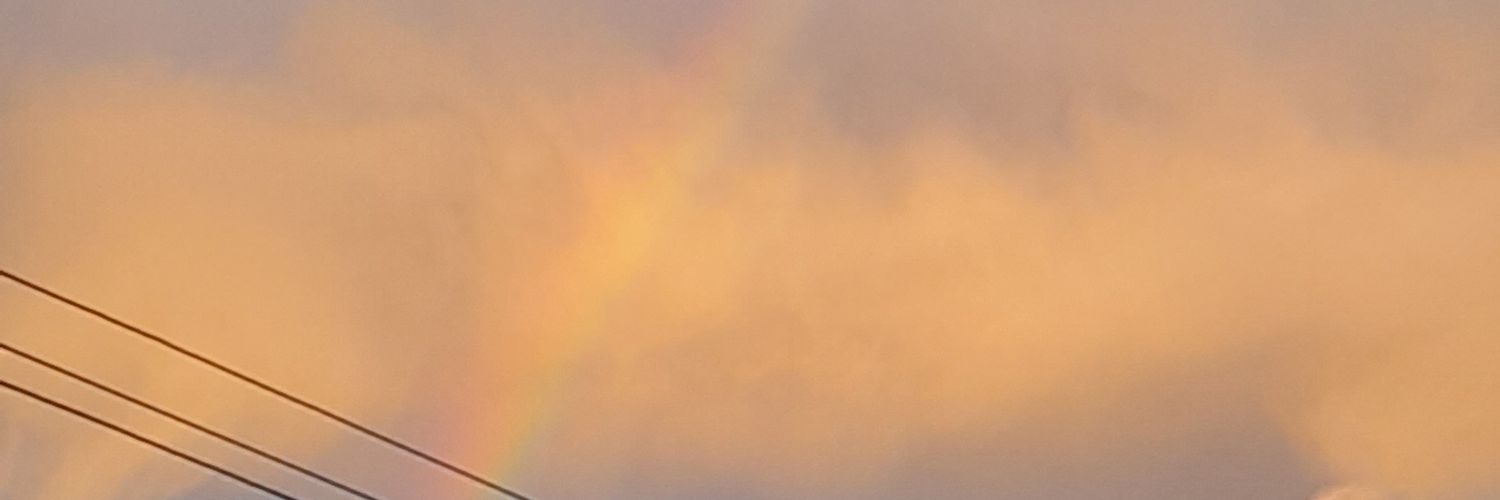 tatibeans's profile banner image