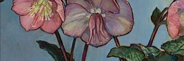 amSarahS Profile Banner