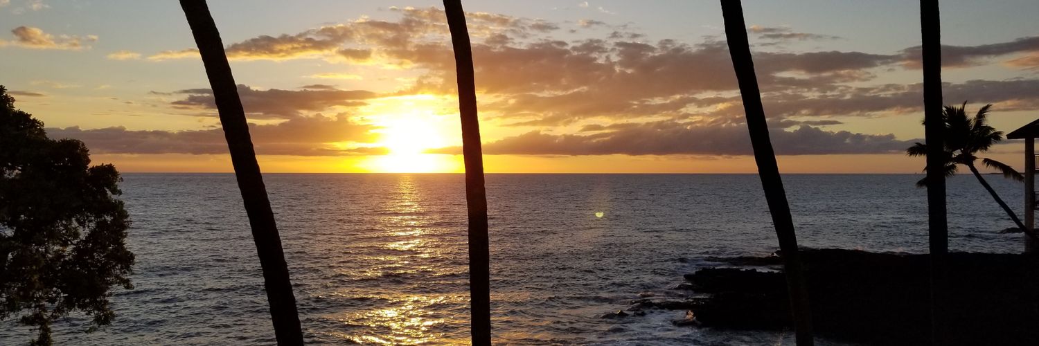 Lisa King Nichols banner