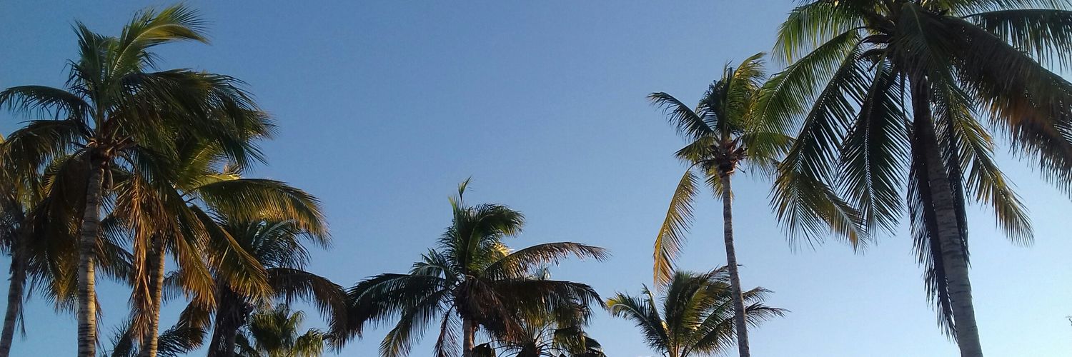 idayramz's profile banner image