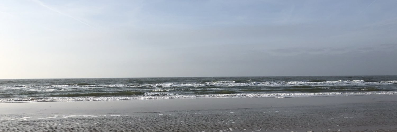 Angelique Winder banner