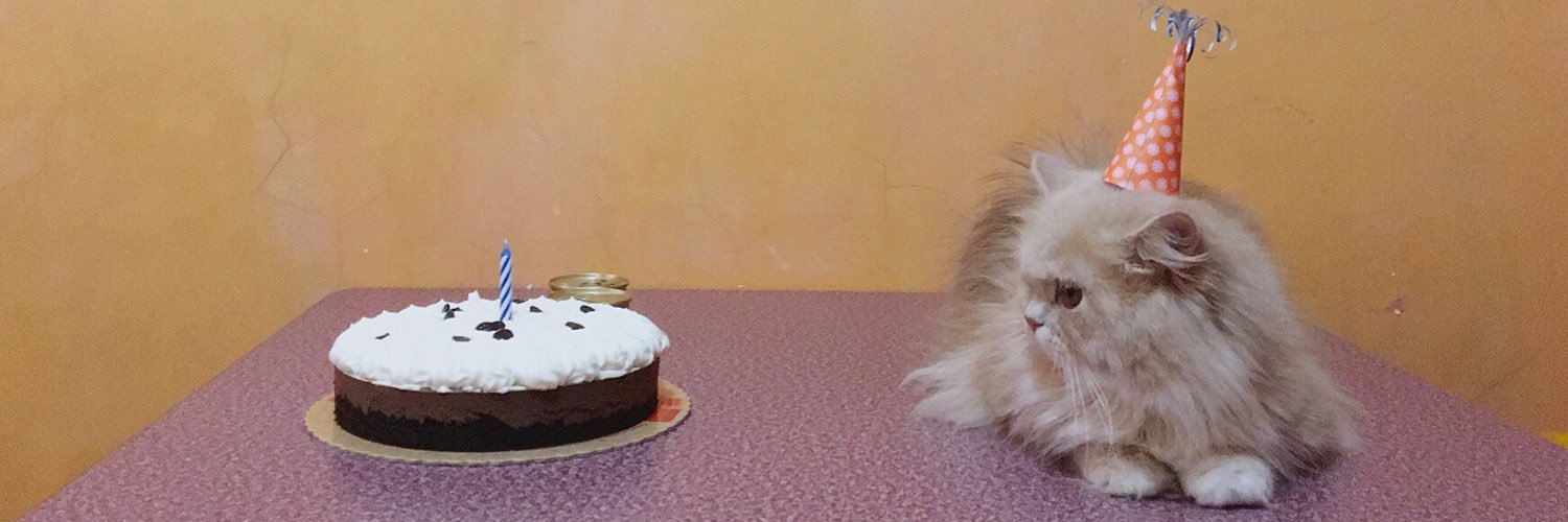 _meowriel's profile banner image