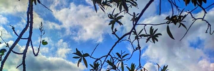 MumoJohn's profile banner image