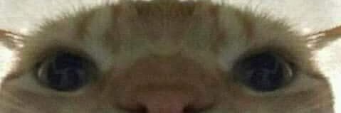 primemanz's profile banner image