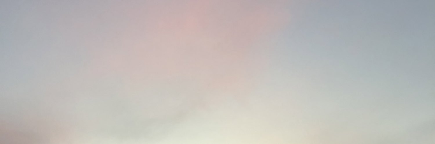 ChanelleNaidoo_'s profile banner image