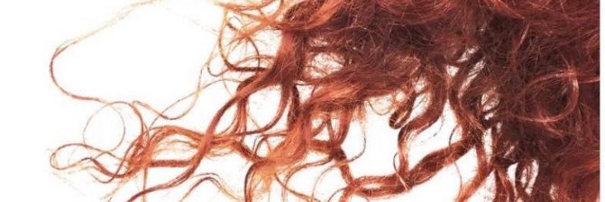 plumbmusic's profile banner image