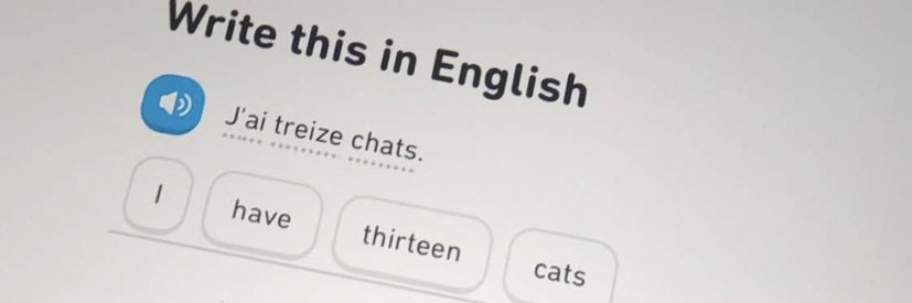 ellenelsxn's profile banner image
