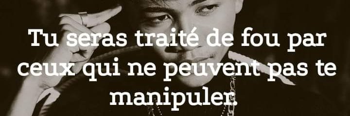 Walden Schmidt banner