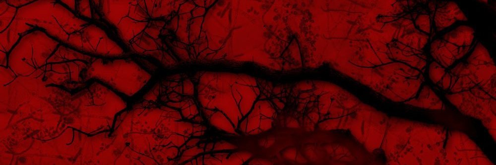 JMiller710's profile banner image