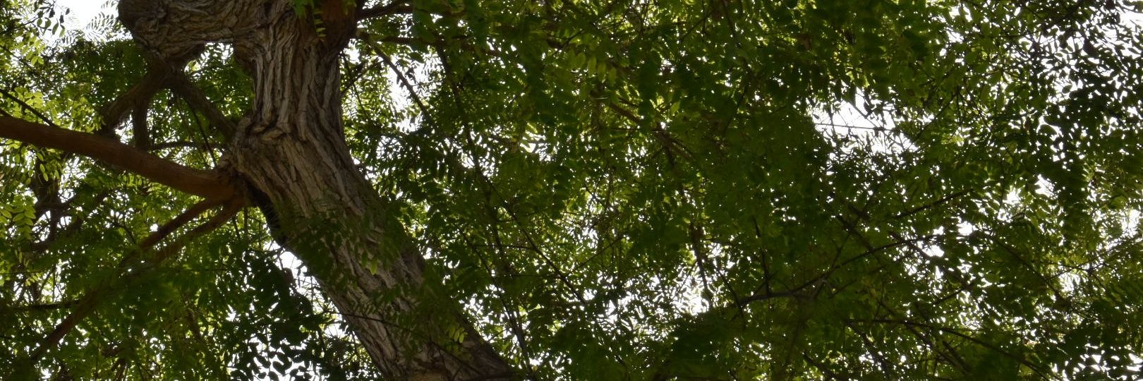 ShariDzM's profile banner image